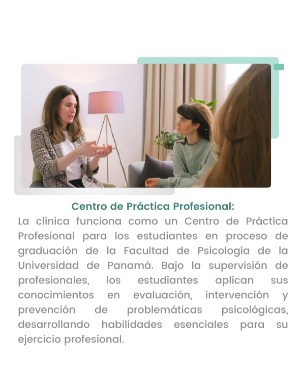 Otros servicios: Centro de práctica profesional