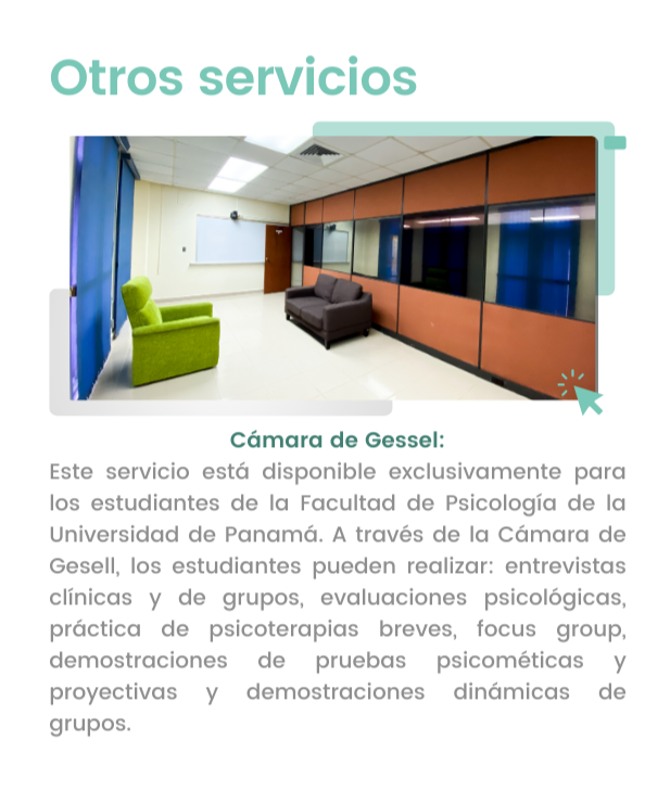 Otros servicios: Cámara Gessel